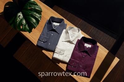 Oxford Button-Down Shirt
